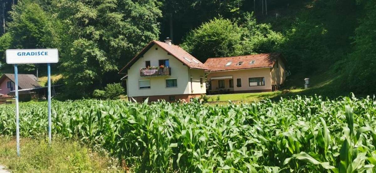 Pogled čez koruzo na obe stavbi apartmajev Regina in Popo